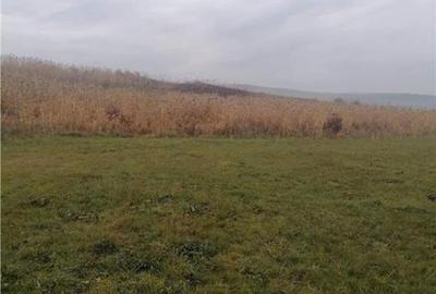 Teren intravilan de 2900 mp, în Corușu - 4