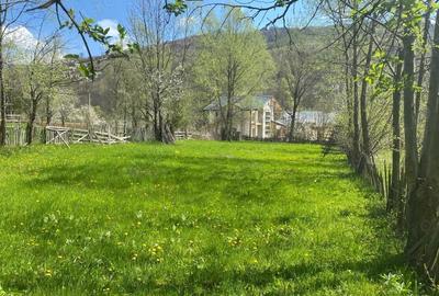 Teren de 1220 mp, în Teșila - 4
