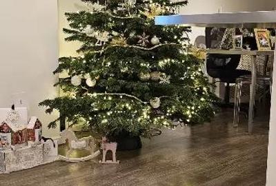 Apartament cu 2 camere nedecomandat în Dămăroaia - 18