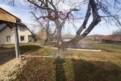 Teren 1,050mp Zarnesti cu proiect de casa / Strada Tohanita nr 26F - 9