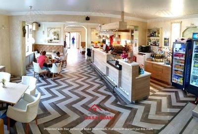 Spatiu comercial in Campina--540 mp--440.000e - 13