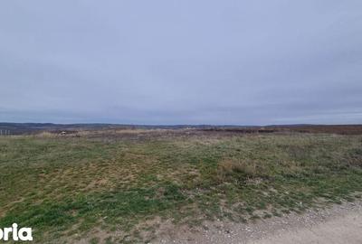 Teren de 2026 mp, în Paleu - 3