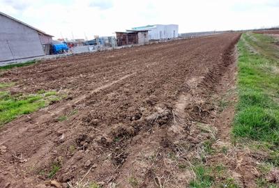 Teren constructii Corbeanca - 3