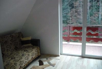 Predeal-Vila de vacanta pretabil pensiune - 8