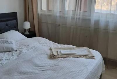 Apartament cu 2 camere semidecomandat, mobilat în Tei - 8