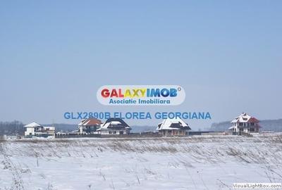 Casa de vacanta de vanzare in Satul Brancovenesc - Balteni, Peris - 3