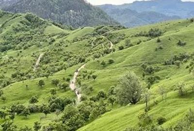 Teren de 5000 mp, în Brăești - 14