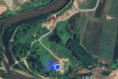 Teren de 8200 mp, în Tăuții-Măgherăuș