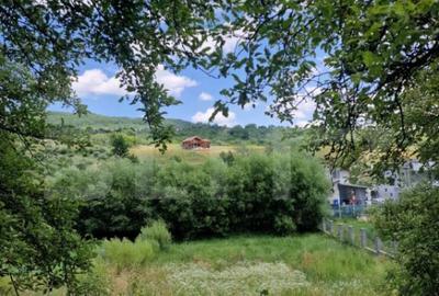 Teren extravilan, 774 mp, zona de centura, Priveliste Panora - 2