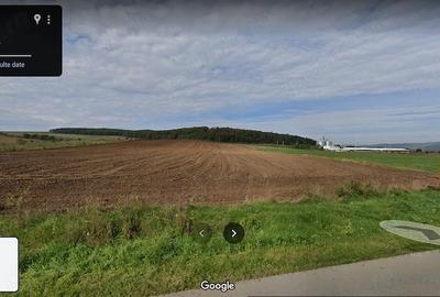Teren de 40000 mp, în Mărtinești - 2