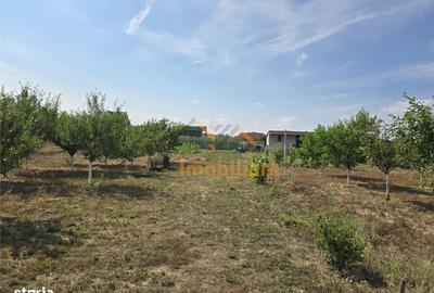 Spațiu comercial, în Paleu - 2