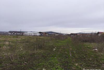 Teren Construcții intravilan de 19059 mp, în Sâncraiu de Mureș - 2