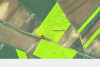 Teren de 465 mp, în Nazna - 4