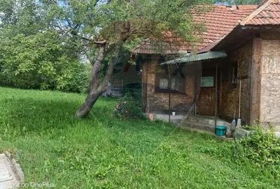 Casă cu 3 camere cu Teren 5472 Mp în Breb - 10