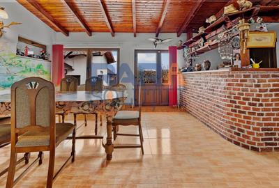 Vilă cu 6 dormitoare, 2 garaje, anexe multiple - 2076 mp teren - 7