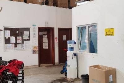 Oportunitate in Otopeni: Hala industriala pentru vanzare! - 7