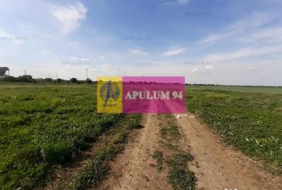 Teren de 524 mp, în 1 Decembrie - 3