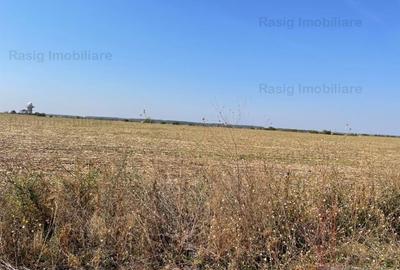 Teren de vanzare Corbeanca - 2