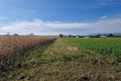 Spațiu comercial, în Central - 4