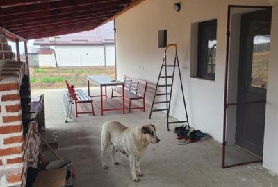 Casa de vanzare in Dobroteasa - 7