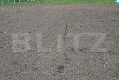 Teren de 3000 mp, în Călărași - 6