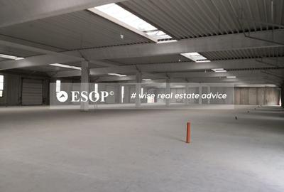 Hale industriale, parc modern, Rudeni, Chitila, Ilfov- ID 15462 Hale industriale, parc modern, Rudeni, Chitila, Ilfov- ID 15462 - 8