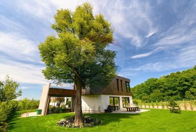 Proprietate spectaculoasă și unică de vânzare în Cluj-Napoca - 5