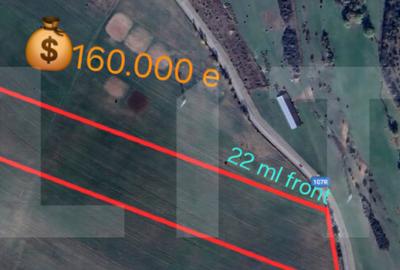 Teren de investitie in localitatea Ciurila - 4