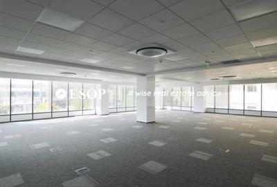 Spațiu comercial, de 390 mp, în Lujerului - 12
