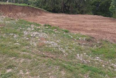 Teren de 25000 mp, în Șugag - 3