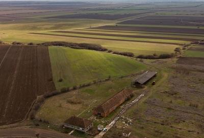 Spațiu industrial, de 3,000 mp, în Mișca - 17