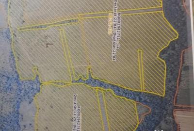 Teren de 420000 mp, în Orăștie - 1