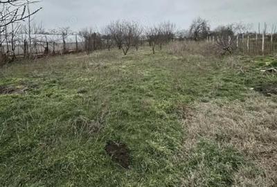 Casă cu 3 camere cu Teren 1700 Mp în Coslogeni - 2