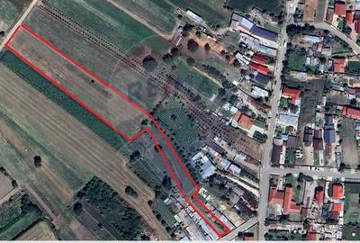 Teren Construcții intravilan de 4318 mp, în Gologanu - 2