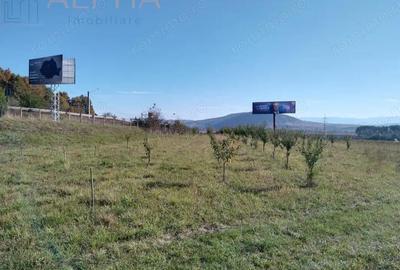Teren de 12300 mp, în Crainimăt - 5