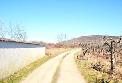 Teren Construcții intravilan de 1023 mp, în Exterior Nord - 6