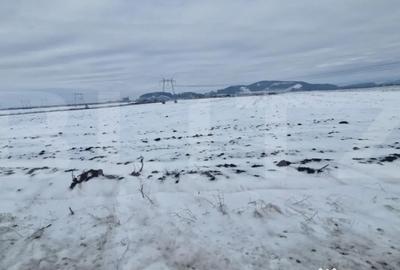 Teren de 11620 mp, în Hărman - 3