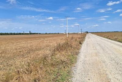 TEREN BUZAU , OCAZIE! - 2