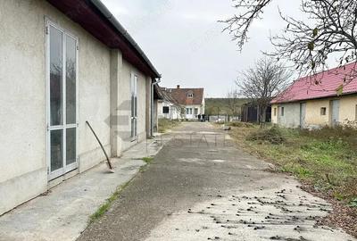 Casa cu 3 Hale si teren 8000 mp in Ulileacu de Cris, Bihor Casa cu 3 Hale si teren 8000 mp in Ulileacu de Cris, Bihor - 15