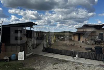 Casă cu 4 camere cu Teren 3018 Mp în Vest - 12