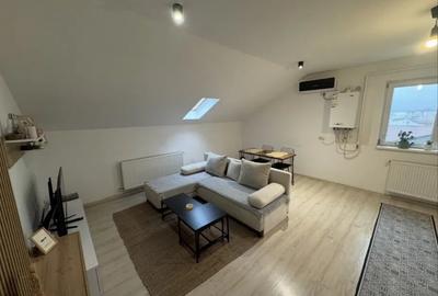 Apartament cu 2 camere decomandat, mobilat în Păcurari - 3