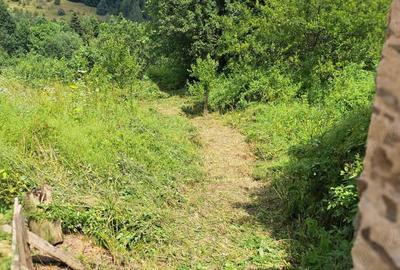 Casă cu Teren 686 Mp în Central - 13