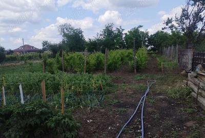 Casă cu 4 camere cu Teren 1600 Mp în Central - 2