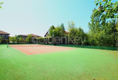 Duplex cu 6 camere cu Piscina în Iancu Nicolae - 16