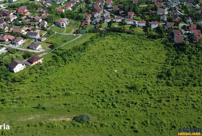 Spațiu comercial, în Livezeni - 11