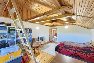 Vila superba de vanzare in Vintila Voda, Buzau D+P+1 si anexe - 31