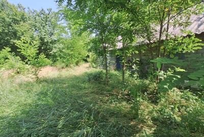 Butimanu Teren Intravilan Utilitati OFERTA - 11