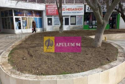 Ocazie ! spatiu comercial Alexandria - 19