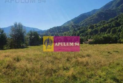 Teren Jude?ul Valcea - Brezoi, Valea lui Stan - 7