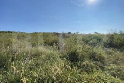 Teren de 3800 mp, în Crișeni - 3